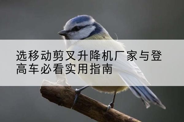 沿滩电动升降机厂家-选移动剪叉升降机厂家与登高车必看实用指南