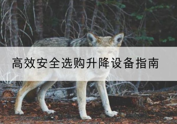 沿滩升降货梯厂家推荐-*安全选购升降设备指南