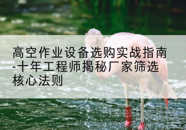 沿滩剪叉式升降机厂家-高空作业设备选购实战指南-十年工程师揭秘厂家筛选核心法则